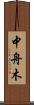 中舟木 Scroll