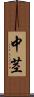 中茎 Scroll