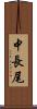 中長尾 Scroll