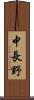 中長野 Scroll
