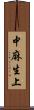 中麻生上 Scroll
