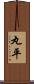 丸平 Scroll