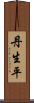 丹生平 Scroll