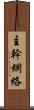 主幹網絡 Scroll