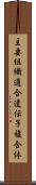主要組織適合遺伝子複合体 Scroll