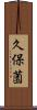 久保薗 Scroll