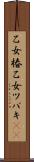 乙女椿 Scroll