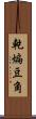 乾煸豆角 Scroll