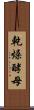 乾燥酵母 Scroll