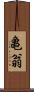 亀翁 Scroll