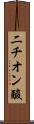 二チオン酸 Scroll