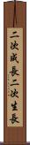 二次成長 Scroll