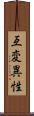互変異性 Scroll
