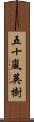 五十嵐英樹 Scroll