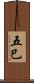 五巳 Scroll