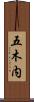 五木内 Scroll