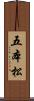 五本松 Scroll
