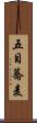 五目蕎麦 Scroll