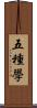 五種學 Scroll