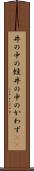 井の中の蛙 Scroll