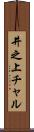 井之上チャル Scroll