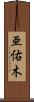 亜佑木 Scroll