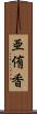 亜侑香 Scroll