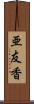 亜友香 Scroll