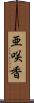 亜咲香 Scroll