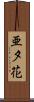 亜夕花 Scroll