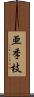 亜季枝 Scroll