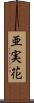 亜実花 Scroll