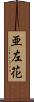 亜左花 Scroll