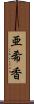 亜希香 Scroll