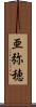 亜弥穂 Scroll