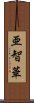 亜智華 Scroll