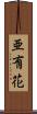 亜有花 Scroll