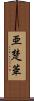 亜楚華 Scroll