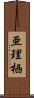 亜理栖 Scroll