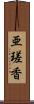 亜瑳香 Scroll
