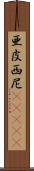 亜皮西尼(ateji) Scroll