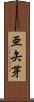 亜矢芽 Scroll