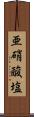 亜硝酸塩 Scroll