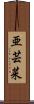 亜芸菜 Scroll