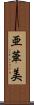 亜華美 Scroll