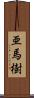 亜馬樹 Scroll