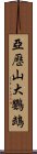 亞歷山大鸚鵡 Scroll