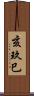 亥玖巳 Scroll