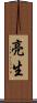 亮生 Scroll