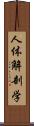 人体解剖学 Scroll